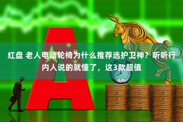 红盘 老人电动轮椅为什么推荐选护卫神？听听行内人说的就懂了，这3款超值