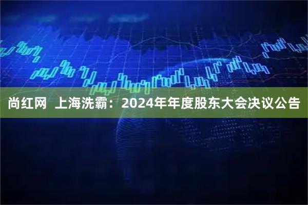 尚红网  上海洗霸：2024年年度股东大会决议公告