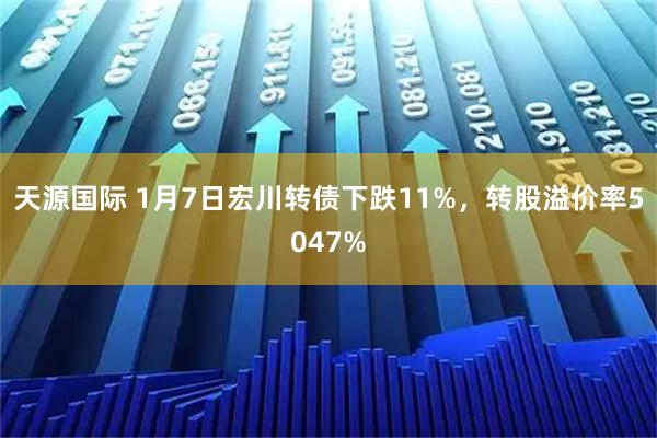 天源国际 1月7日宏川转债下跌11%，转股溢价率5047%